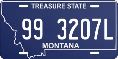 MT license plate 993207L