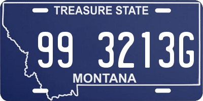 MT license plate 993213G