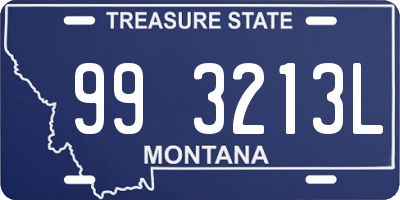 MT license plate 993213L