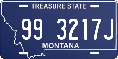 MT license plate 993217J