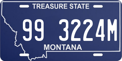 MT license plate 993224M