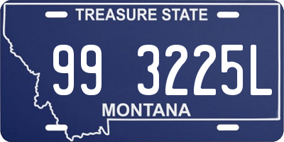 MT license plate 993225L