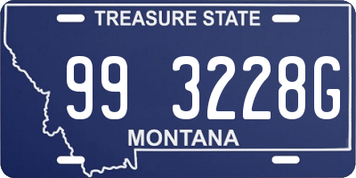 MT license plate 993228G