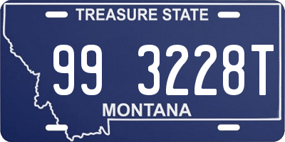 MT license plate 993228T