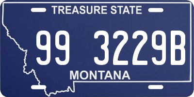 MT license plate 993229B