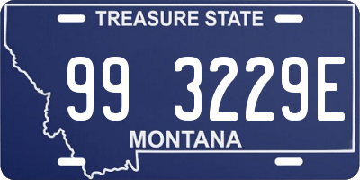 MT license plate 993229E