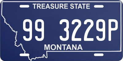 MT license plate 993229P