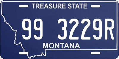 MT license plate 993229R