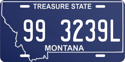 MT license plate 993239L
