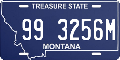 MT license plate 993256M