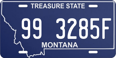 MT license plate 993285F
