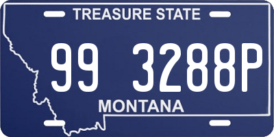 MT license plate 993288P