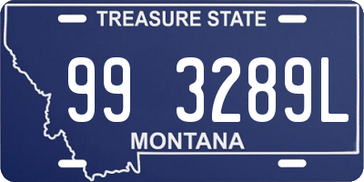 MT license plate 993289L