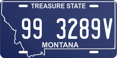 MT license plate 993289V