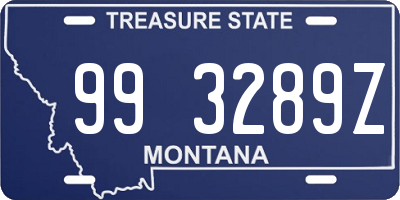 MT license plate 993289Z