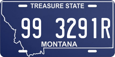 MT license plate 993291R