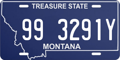 MT license plate 993291Y