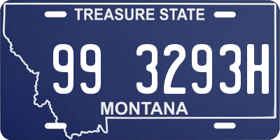 MT license plate 993293H
