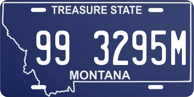 MT license plate 993295M