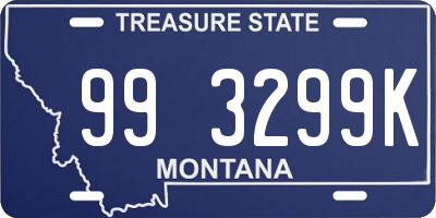 MT license plate 993299K