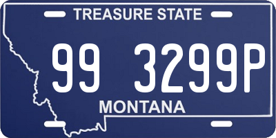 MT license plate 993299P