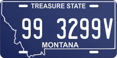 MT license plate 993299V