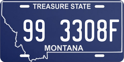 MT license plate 993308F