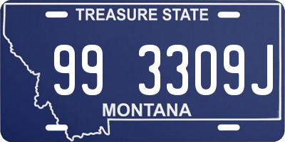 MT license plate 993309J