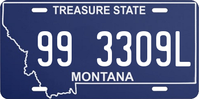 MT license plate 993309L