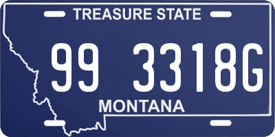 MT license plate 993318G