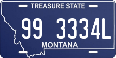 MT license plate 993334L