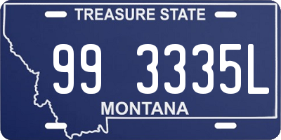 MT license plate 993335L