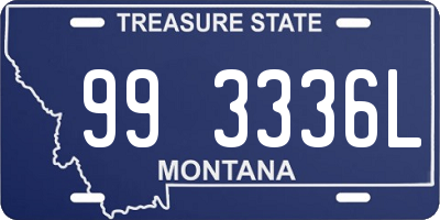 MT license plate 993336L