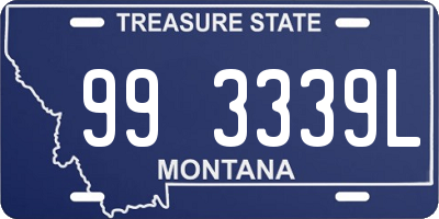 MT license plate 993339L