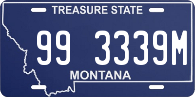 MT license plate 993339M