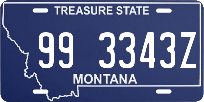 MT license plate 993343Z