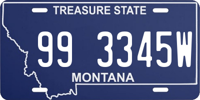 MT license plate 993345W