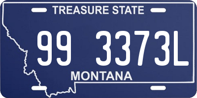 MT license plate 993373L