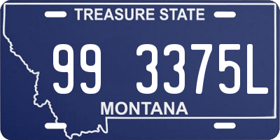 MT license plate 993375L