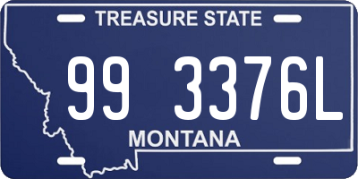 MT license plate 993376L