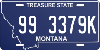 MT license plate 993379K