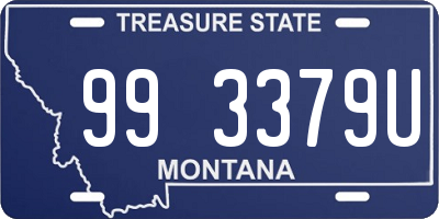 MT license plate 993379U