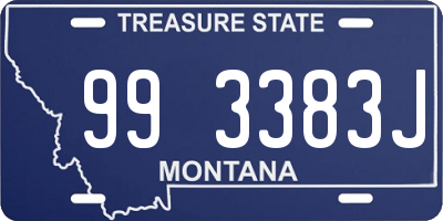 MT license plate 993383J