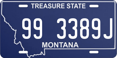 MT license plate 993389J