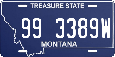 MT license plate 993389W