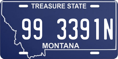 MT license plate 993391N