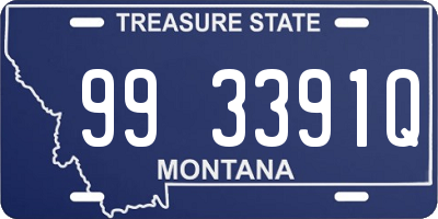 MT license plate 993391Q