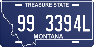 MT license plate 993394L