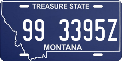 MT license plate 993395Z