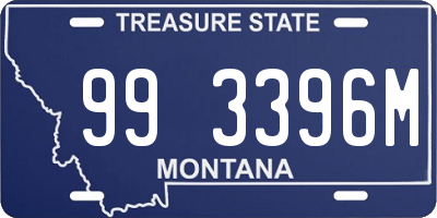 MT license plate 993396M